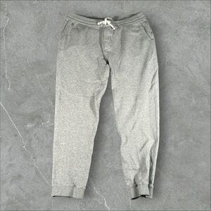 Taylor Stitch Light Gray Joggers